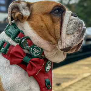 Bow Tie - Walkies Ready® - Snowy Mountains