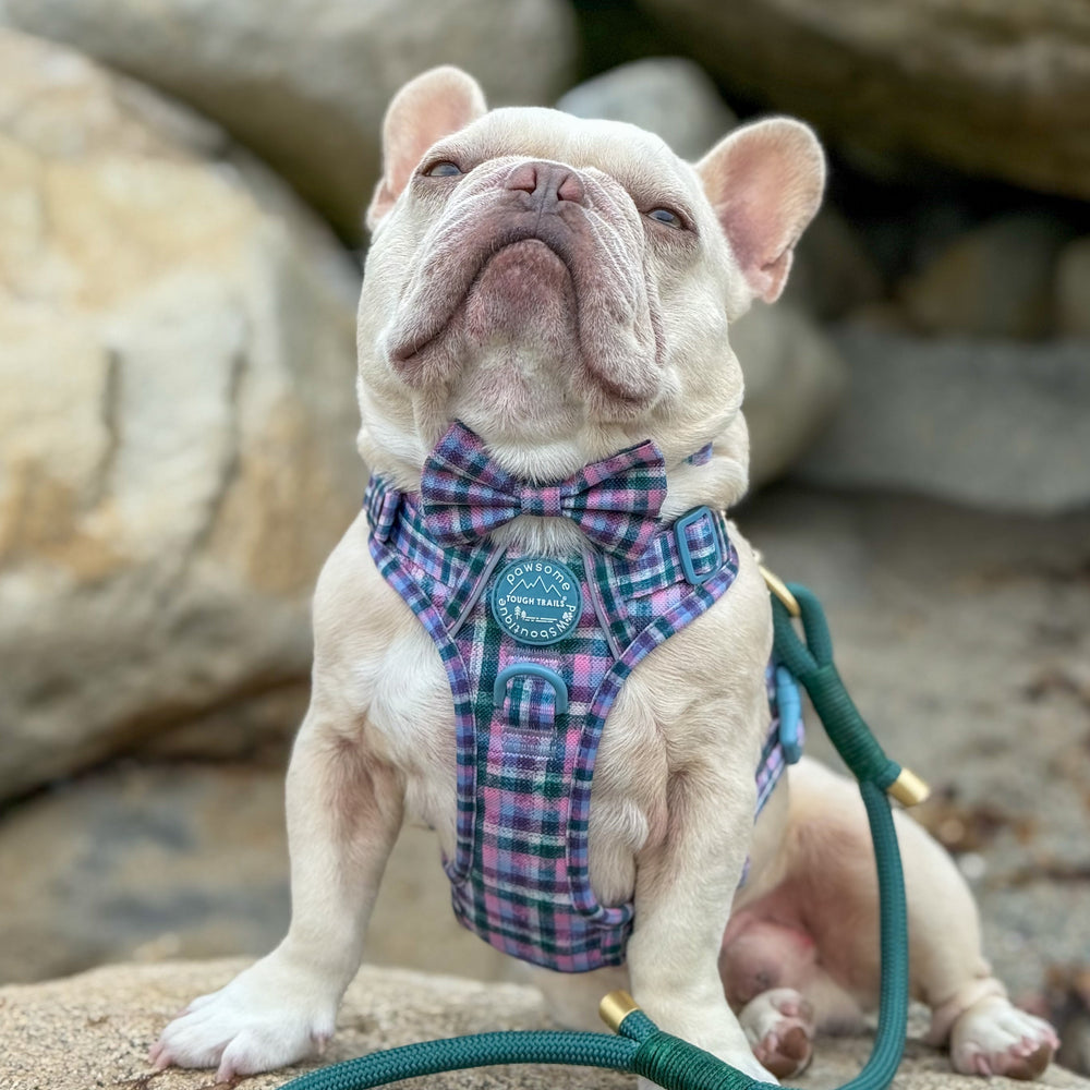 Bow Tie - Tweed Twilight