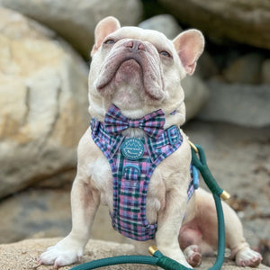 Bow Tie - Tweed Twilight