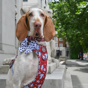 Disney© Sailor Bow Tie - 101 Dalmatians