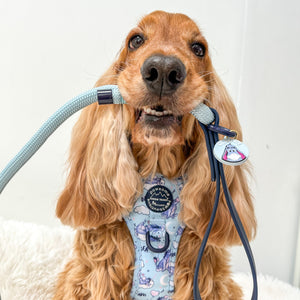 Disney© 4ft Rope Lead - Eeyore - Baby Blue and Navy