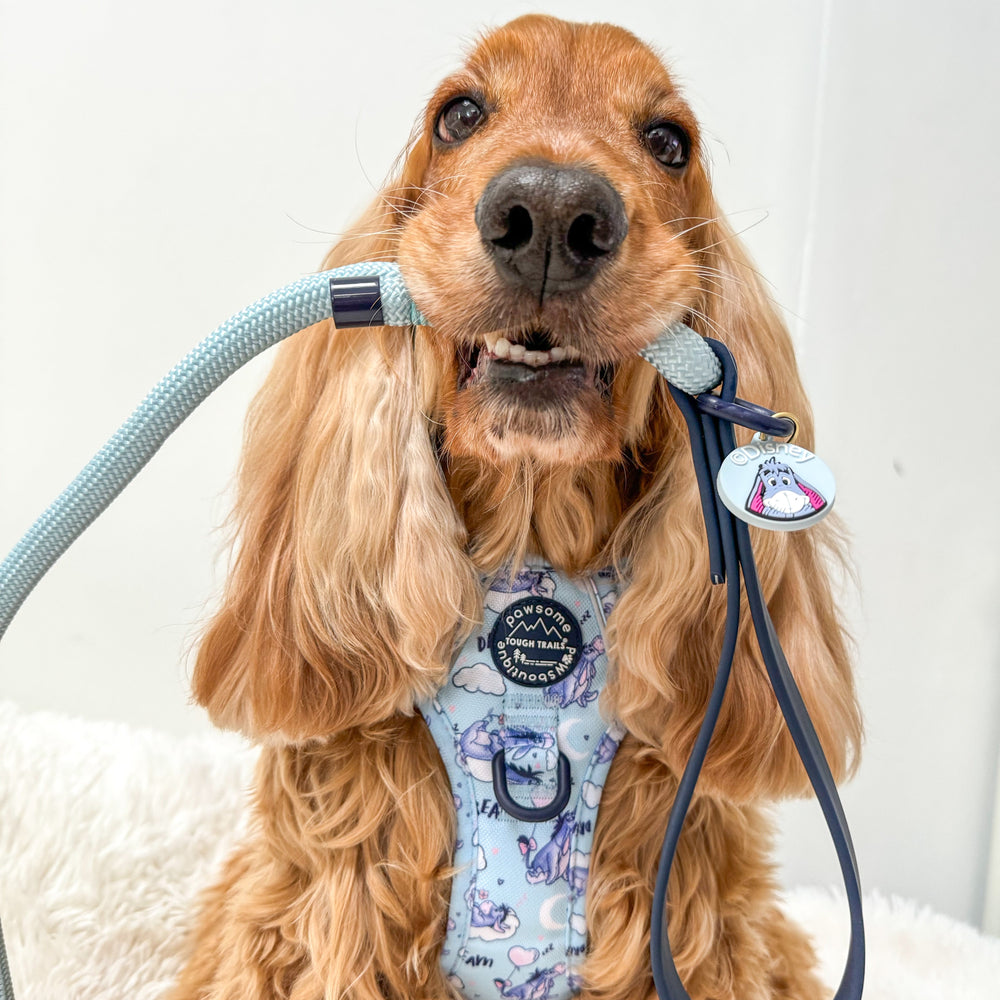 Disney© Collar/Lead Charm - Eeyore