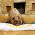 Paddington™ Dog Blanket - Peckish Paddington
