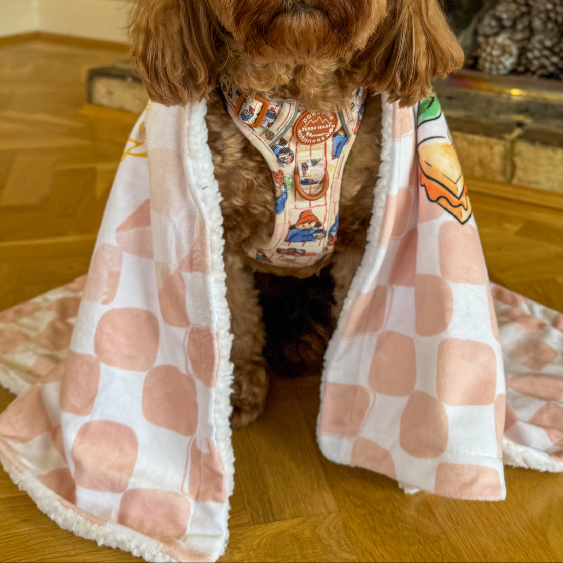 Paddington™ Dog Blanket - Peckish Paddington