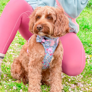 Bow Tie - Whimsical Wildflowers