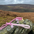 Disney© 4ft Rope Lead - Piglet - Pink