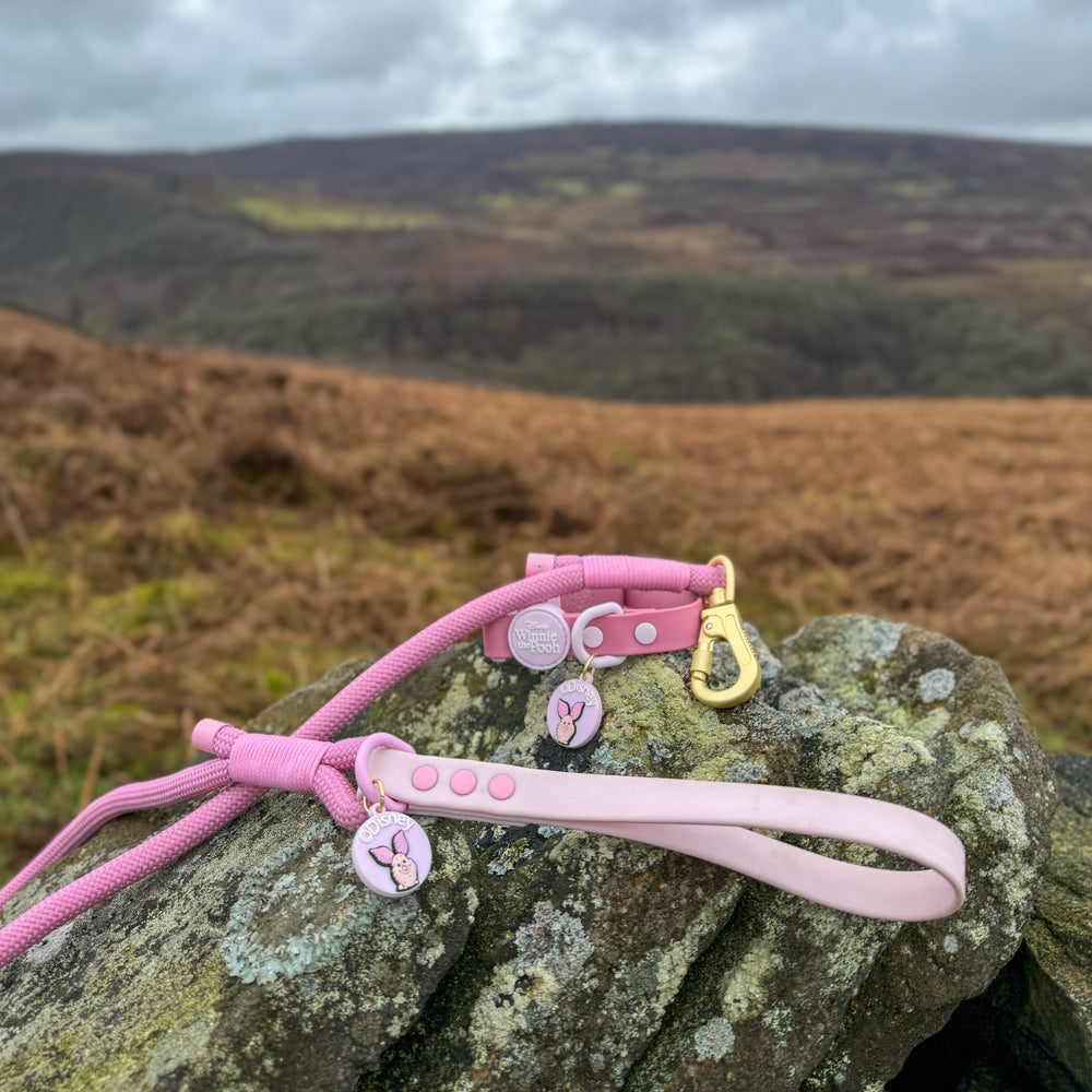 Disney© 4ft Rope Lead - Piglet - Pink