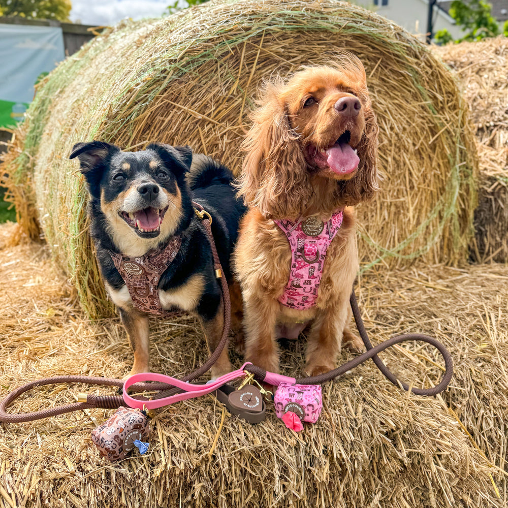 4ft Rope Lead - Brown + Pink