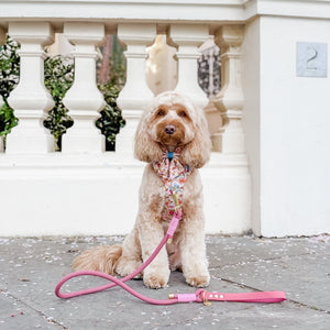 4ft Rope Lead - Pretty Pink