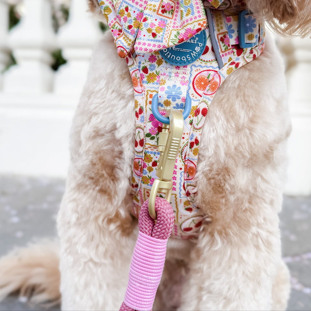 4ft Rope Lead - Pretty Pink