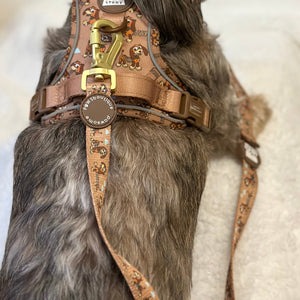 Disney© Lead - Slinky