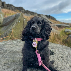 Disney© Collar/Lead Charm - Piglet