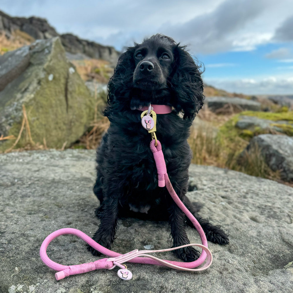 Disney© 4ft Rope Lead - Piglet - Pink