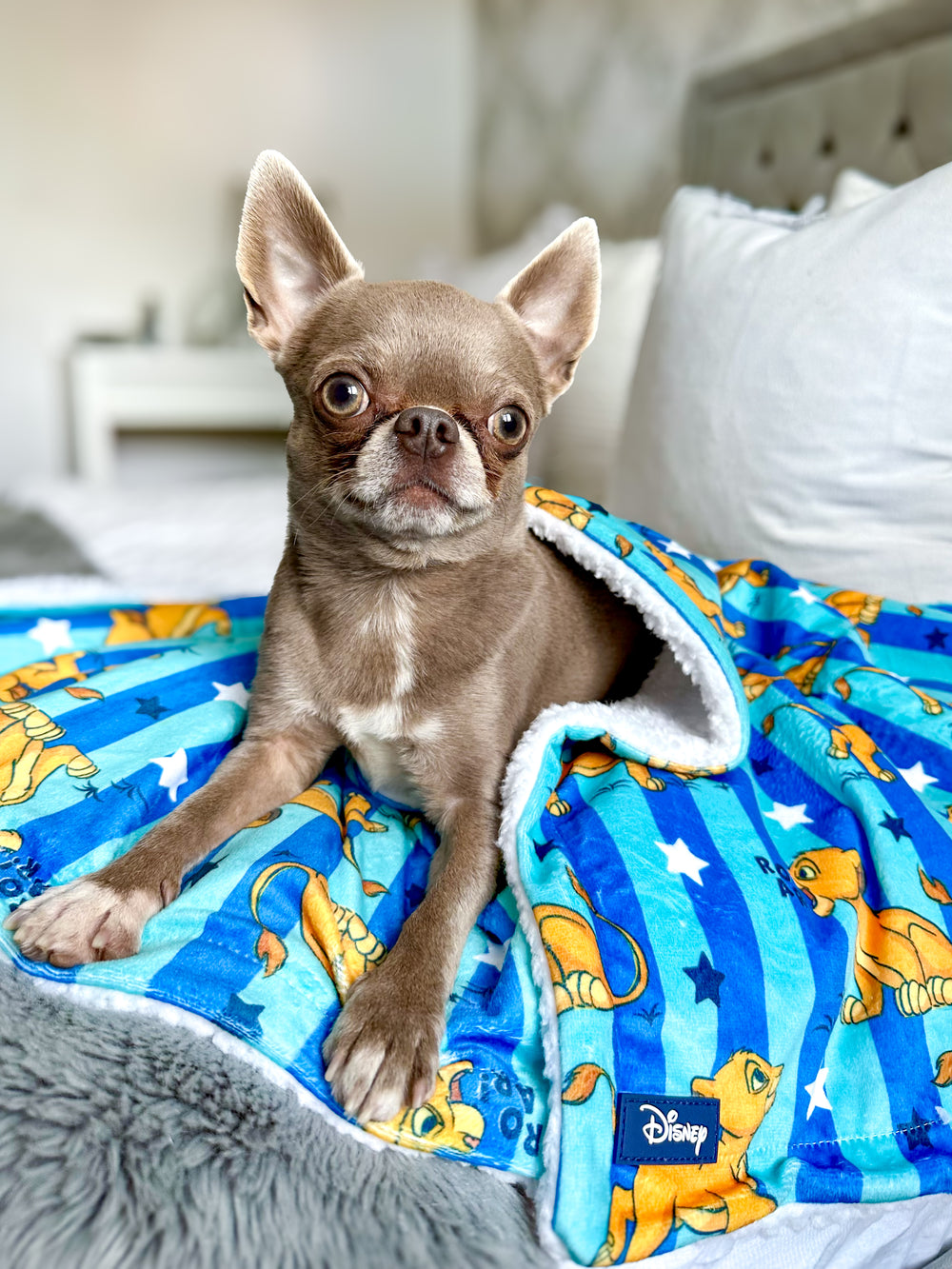 Disney© Dog Blanket - Simba