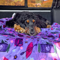 Dog Blanket - Roaming Wild
