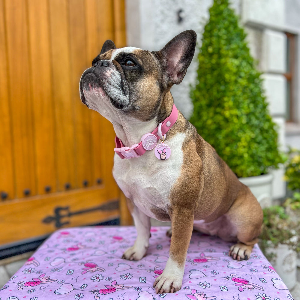 Disney© Collar/Lead Charm - Piglet