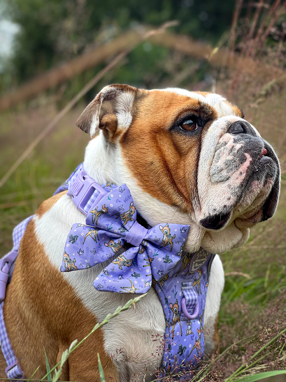 Disney© Sailor Bow Tie - Bambi + Friends Lilac