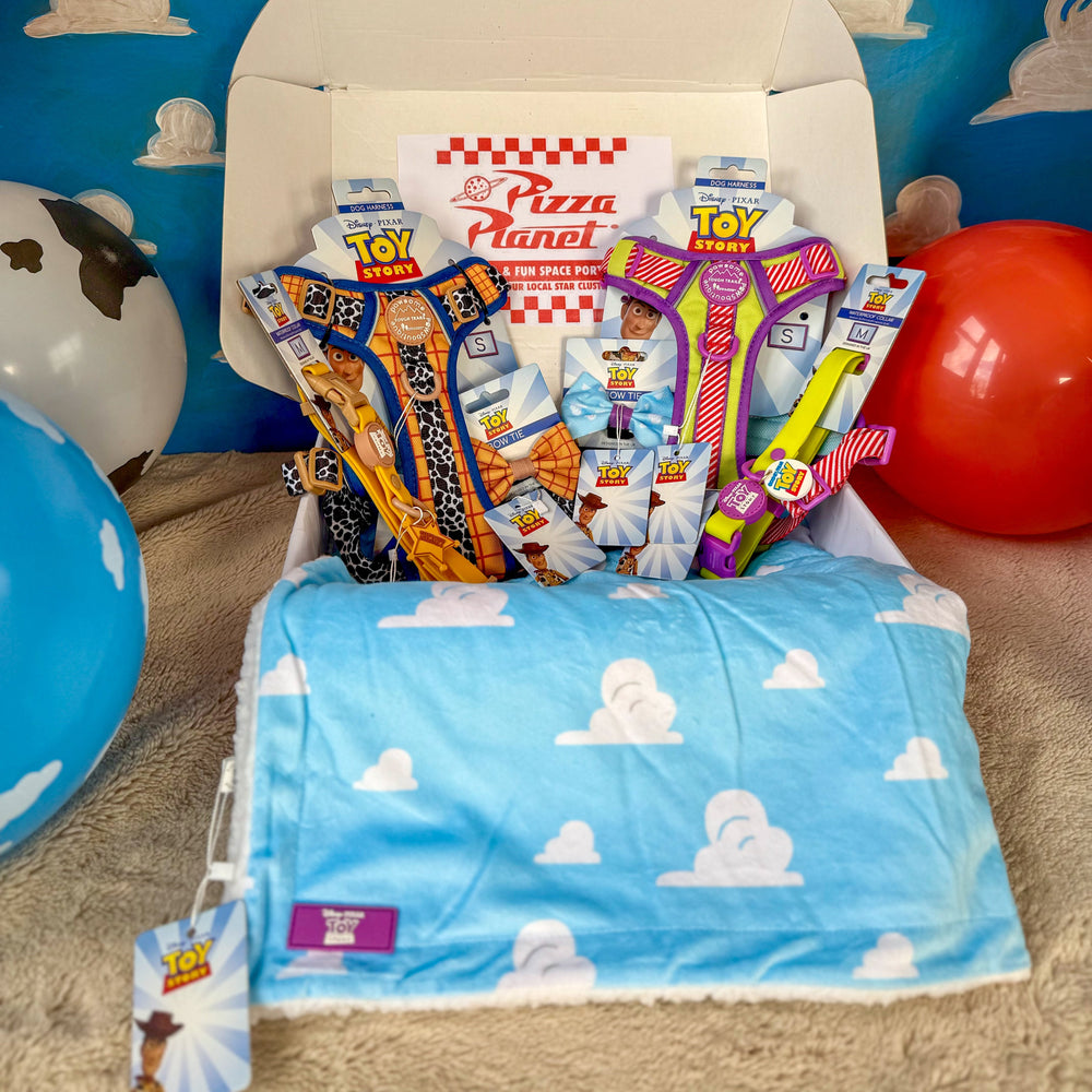 Disney© Dog Blanket - Buzz Lightyear