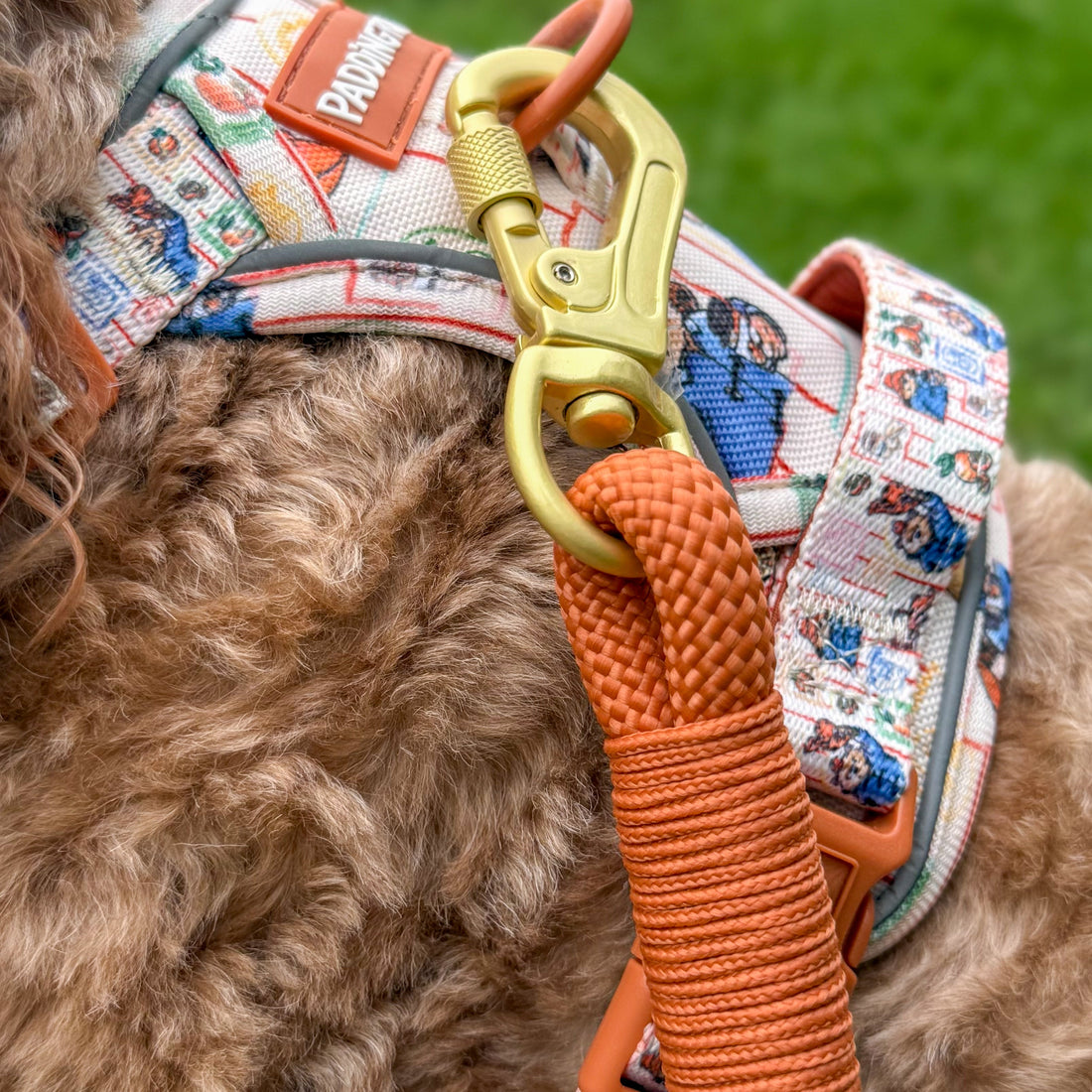 4ft Rope Lead - Rust