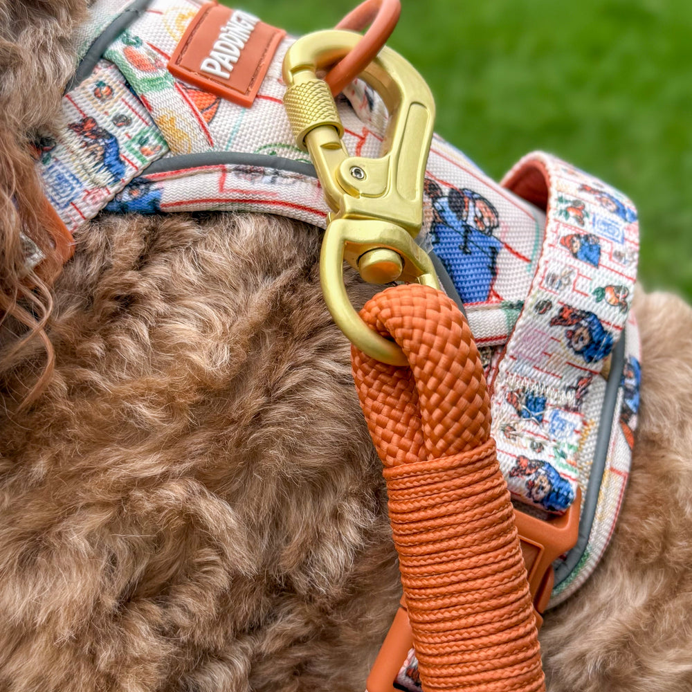 4ft Rope Lead - Rust