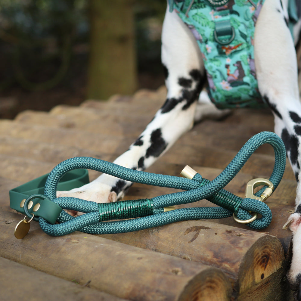 Disney© 4ft Rope Lead - Jungle Book