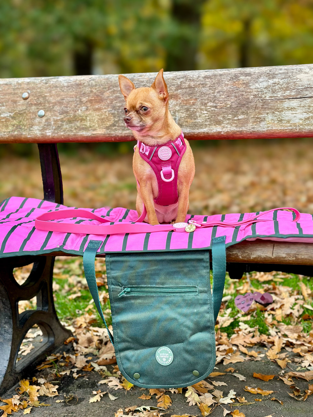 Travel Mat - Walkies Ready®