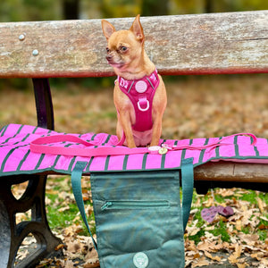 Travel Mat - Walkies Ready®