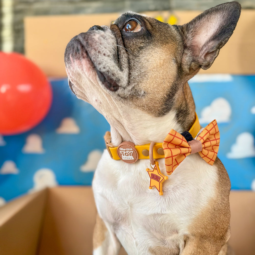 Disney© Bow Tie - Woody