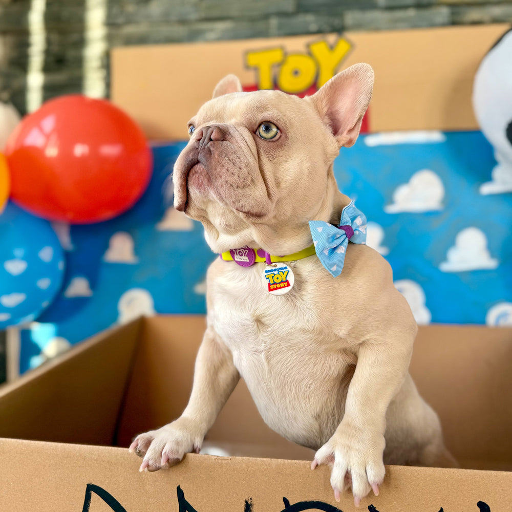 Disney© Bow Tie - Buzz Lightyear