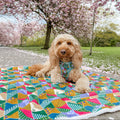 Dog Blanket - Patchwork