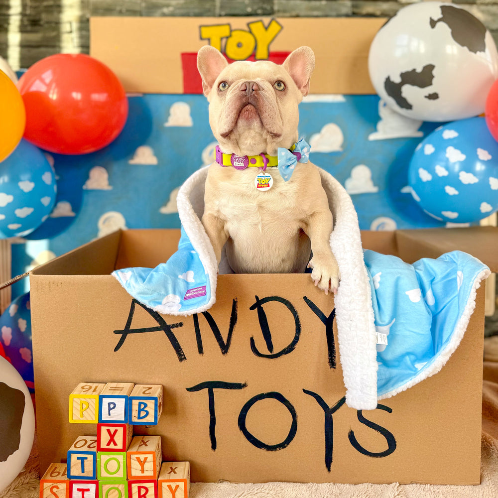 Disney© Dog Blanket - Buzz Lightyear