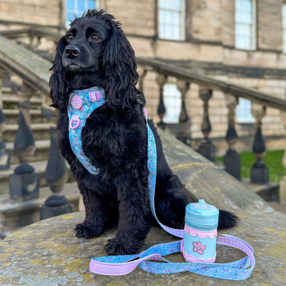 Disney© Treat Pouch - Mad Hatters Tea Party