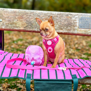 Treat + Go Bag - Walkies Ready® Raspberry Pink