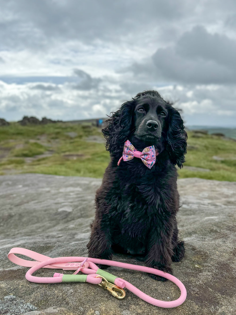 Disney© Bow Tie - Nala