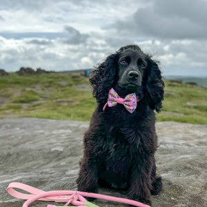 Disney© Bow Tie - Nala