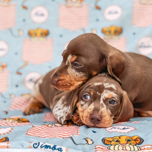 Disney© Dog Blanket - Lion Friends