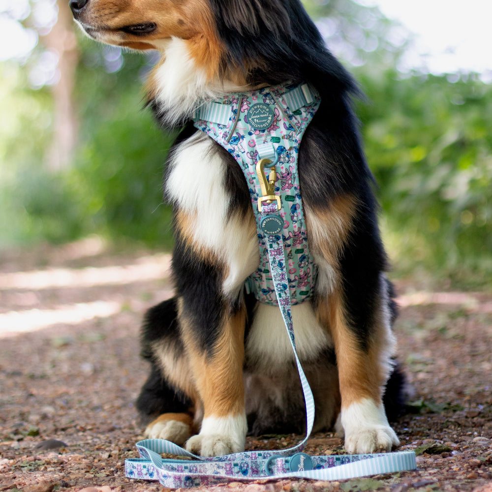 Disney© Lead - Stitch's Slumber Party