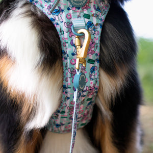 Disney© Lead - Stitch's Slumber Party