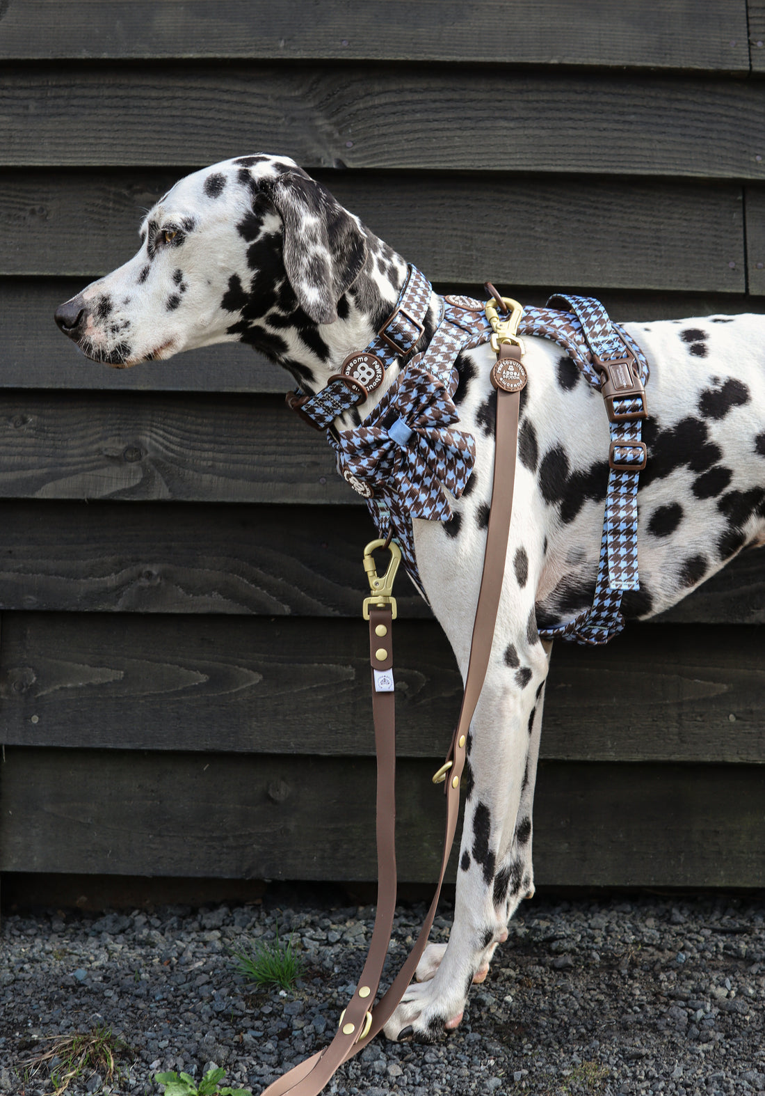 Double Ended Lead - Walkies Ready® Chocolate Brown