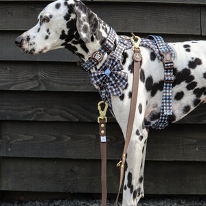 Double Ended Lead - Walkies Ready® Chocolate Brown