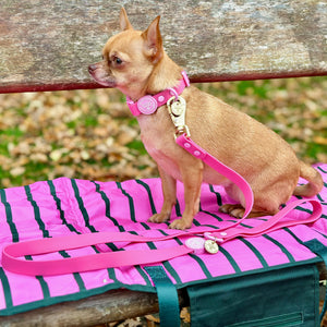 4ft Waterproof Lead - Walkies Ready® Raspberry Pink