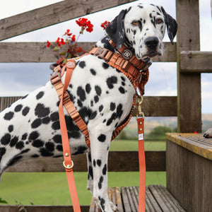 Double Ended Lead - Walkies Ready® Rust (New Clip)