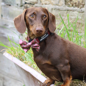 Waterproof Collar - Mulberry (Gold Hardware)