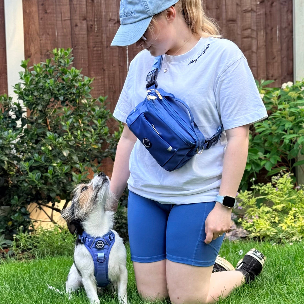 All In One Bumbag - Cornflower Blue
