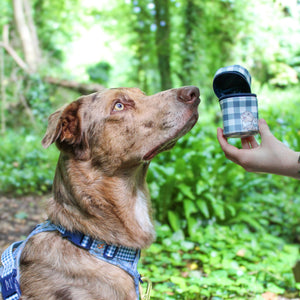 Disney© Treat Pouch - Bambi + Friends Blue