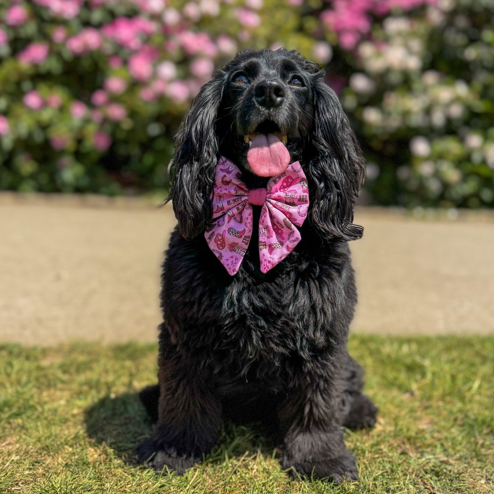 Sailor Bow Tie - Cowgirl