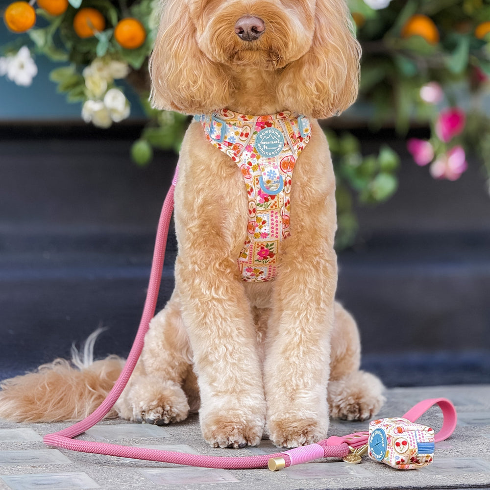 Poo Bag Holder - Summer Vacay