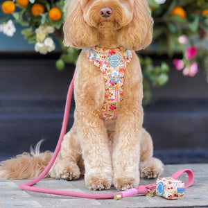 Poo Bag Holder - Summer Vacay