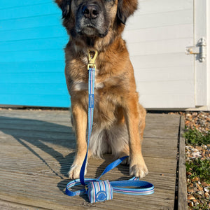 Lead - Sailor Stripes