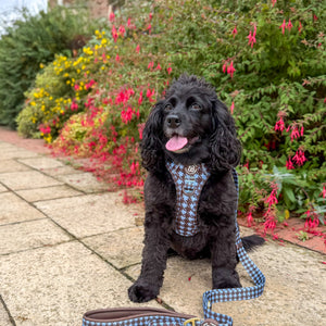 Poo Bag Holder - Horizon Houndstooth